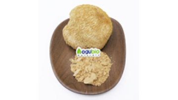 Hericium Erinaceus Polysaccharides Extract - Lion's Mane Mushroom 10% to 30%1