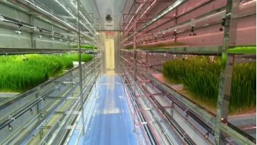 Internal video of the forage container 2