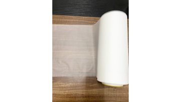 Delivery bag frosted semi transparent CPE film