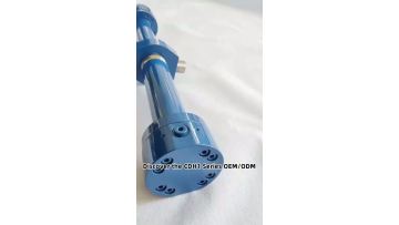 CDH1 MT4 50-36-485 Hydraulic Cylinder