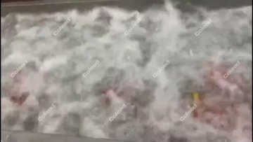 Pitaya Washing Line