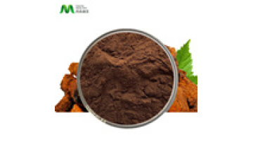 Immune Support Supplement Organic Dual Wild Siberian Chaga Mushroom Extract With Polysaccharides 50%1