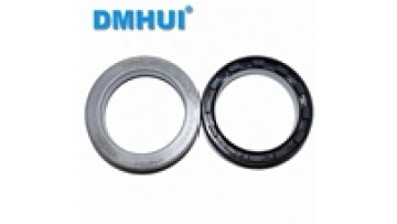 1197046 Spare Parts Shaft wheel hub Oil Seal 49*65/68*10/13.81