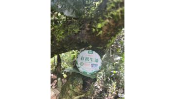Organic Raw Puer Tea 100g Cake · Growing Environment Introduction