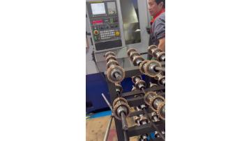 Processing at Customer Site Worm Gear