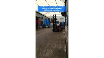 Video 87
