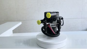 BJ-9339 Secondary Air Pump