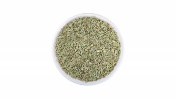 Fennel for Herb Use