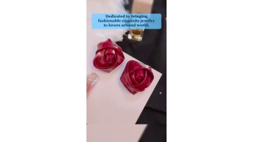 Video 19