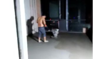 Power Trowel