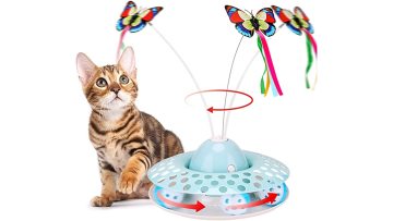 Electronic Cat Toy