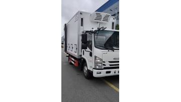 ISUZU CHICKEN YOUNG TRANSPORTER
