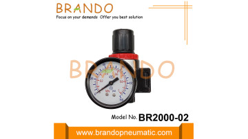 BR2000-02 Pneumatic Regulator