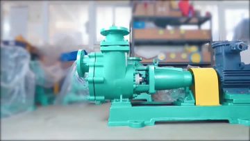 self priming pump(1)
