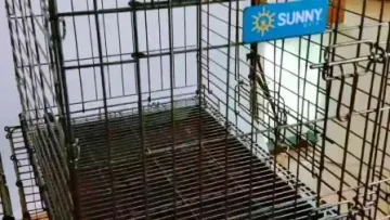 B40001 Wire Pet Cages House for Dogs and Cats Foldable Iron Carriers Animal Cage Crate Boarding Kennels Collapsible Places1