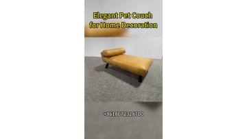 10.Elegant Pet Couch for Home Decoration_batch