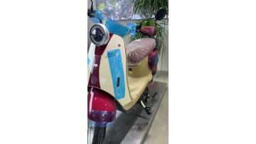 Electric Scooter with Retro Beige, Maroon, Blue Look
