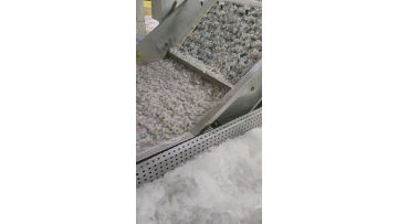 Impingement tunnel freezer for shrimp meat