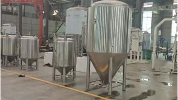 300L发酵罐.mp4