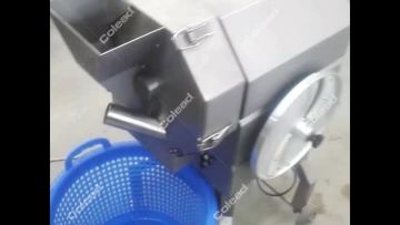 vegetable dicing machine