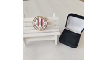 Yangle Gift Hot Sale: Custom Gold Plated Soft Enamel Coins with Velvet Box1
