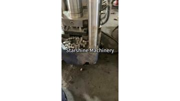 metal powder briquetting press
