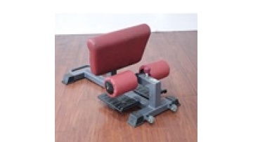 sissy squat rack adjustable machine