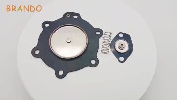 C113827 diaphragm membrane