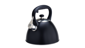 Kitchen grade stainless black water kettle FH-346