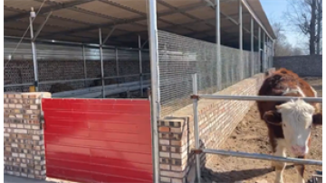 Agricultural Steel Buildings
