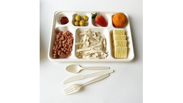 7 compartment tray