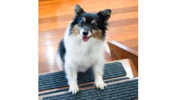 Anti-Slip Carpet Treads 01