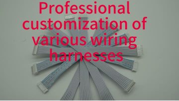 JST XH2.54 Ribbon Cable Harness