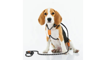 dog leash heavy duty