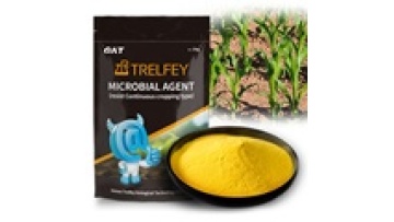 Factory Selling High-Quality Bacillus Licheniformis Microbial Inoculants for Agriculture1