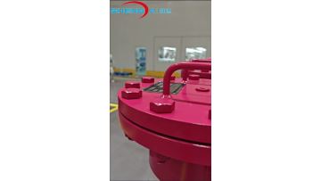SDRFLD BNHC 1320 CAM 20 D 1.X-L24