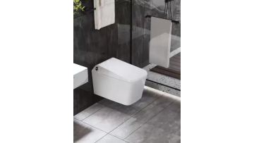 smart toilet4