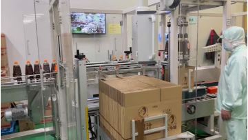 ZY-PM600 custom packing machine for bottling
