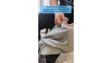 Video 31