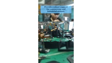 Video 19