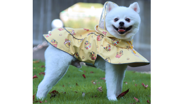 pet clothing