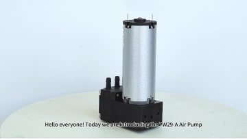 YW29  series miniature diaphragm pump