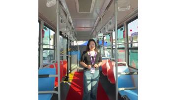 Pure Electric Low-Floor City Shaolin Bus