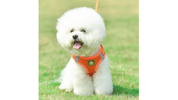 dog harness and leash set petsmart