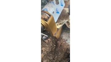 Squeezing animal oil