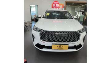 Worry-Free Family Use Haval H6 Classic Edition