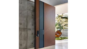 aluminum pivot door modern