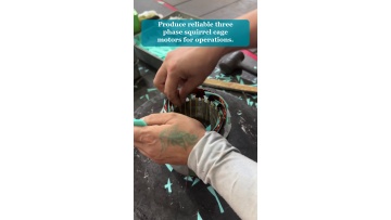 Video 5