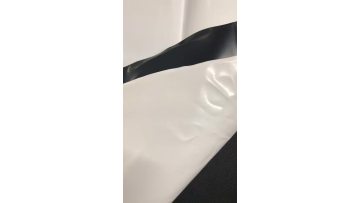 blowing panda film.MP4