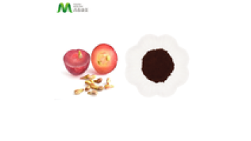 Natural High Purity OPC 95% EU Organic Grape Seed Extract Powder1